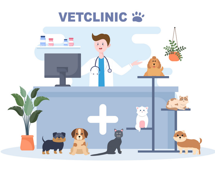 Things Required When Setting Up a Vet Clinic